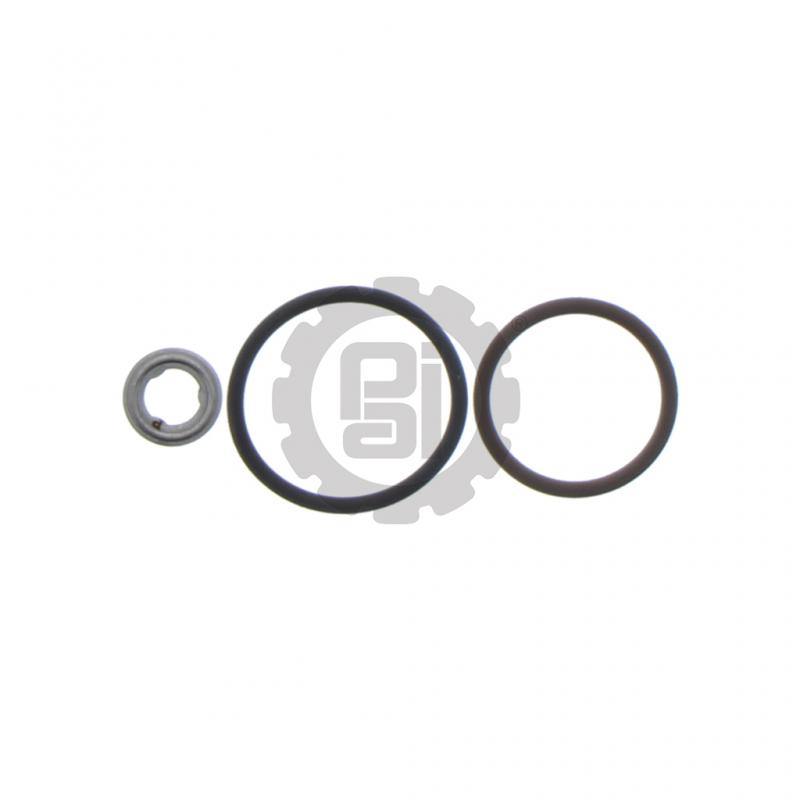 P421106 – NAV INJECTOR STRAP KIT 1842624C92 I313 MAXFORCE