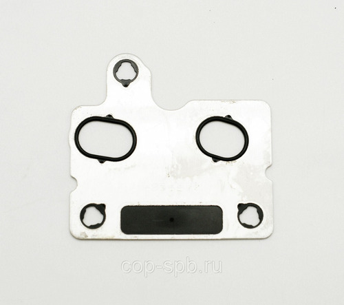 M-4954473 – EMPAQUE BOMBA DIESEL ISX